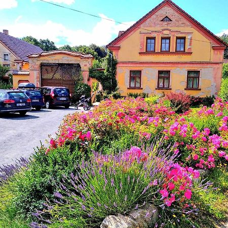 Apartmany Kosov 1 Bor Exteriör bild